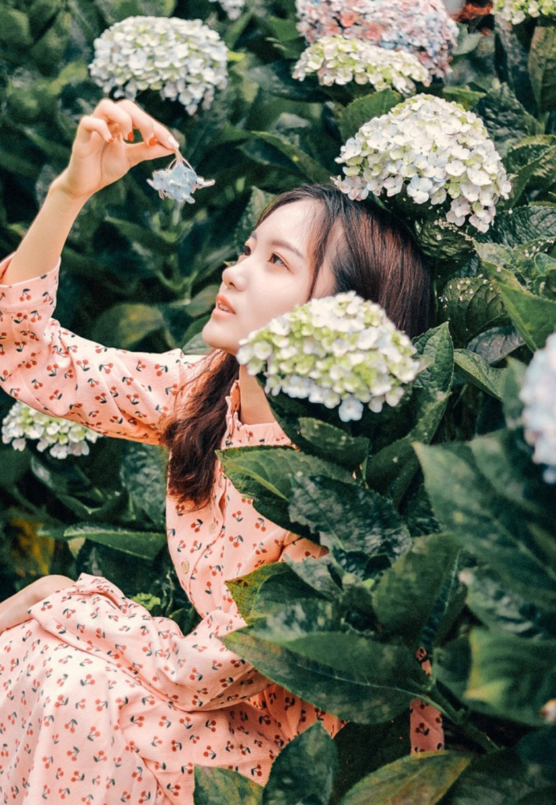 清新文艺范气质美女户外写真高清图片
